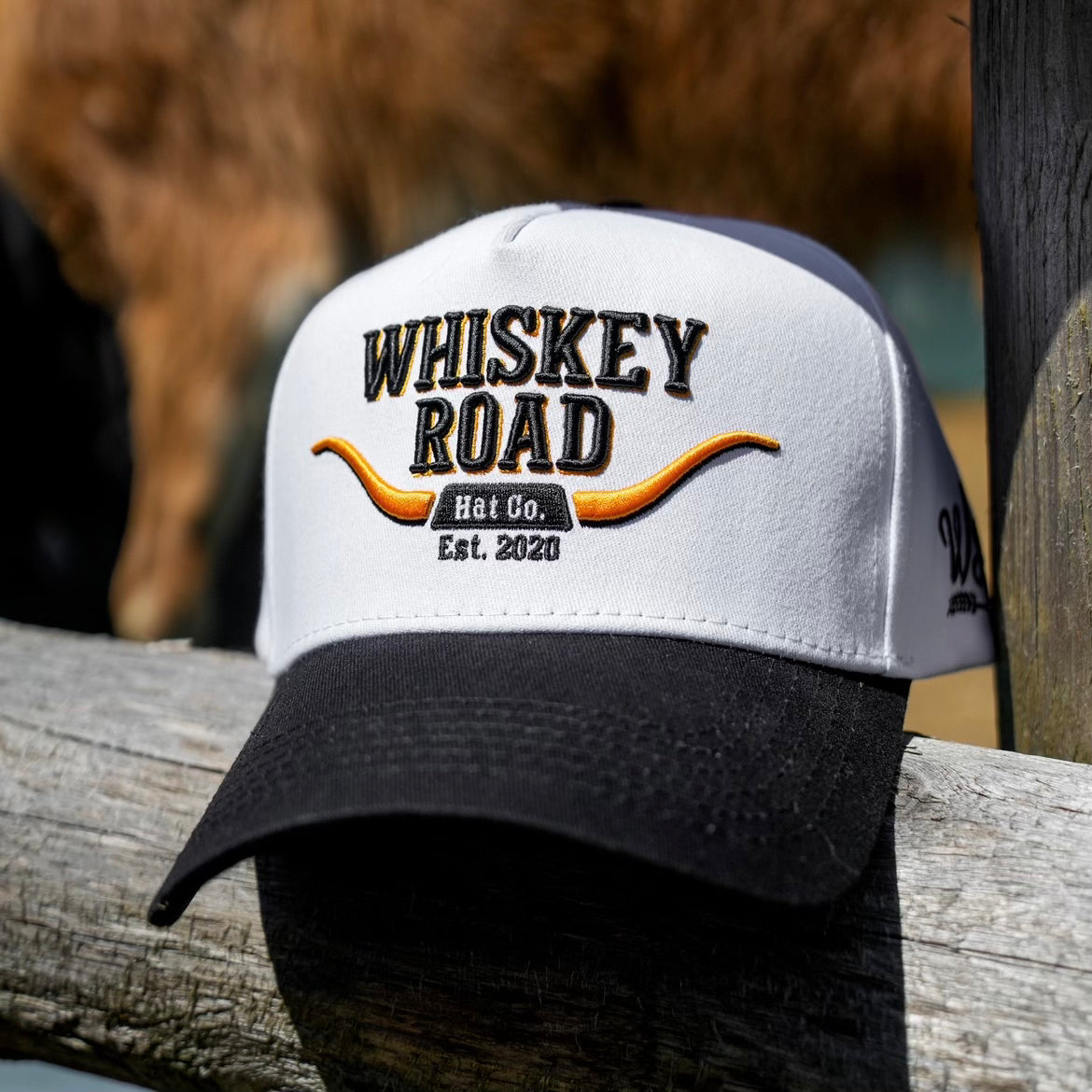 Premium Longhorn Black