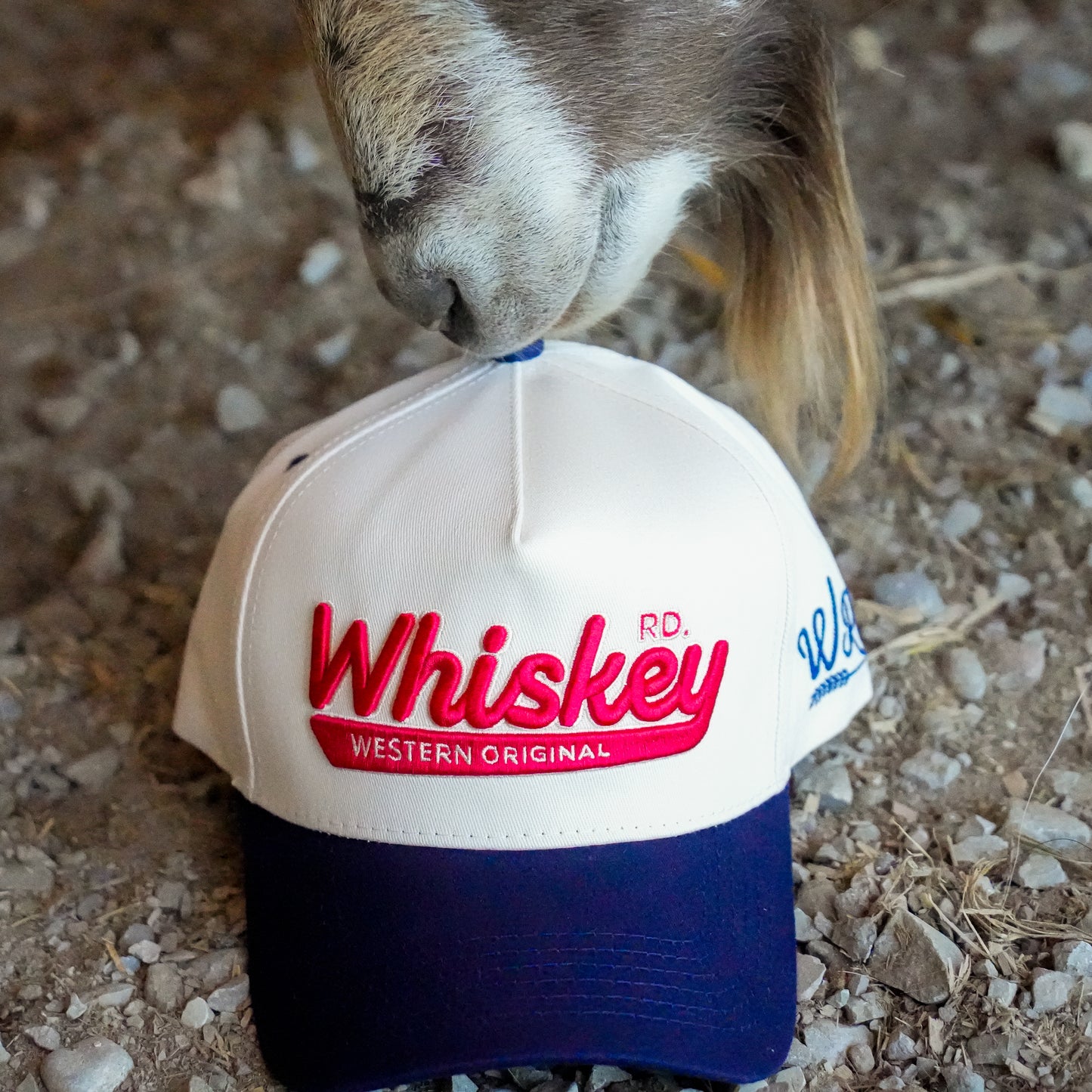 Western Originals (Navy/Natural)
